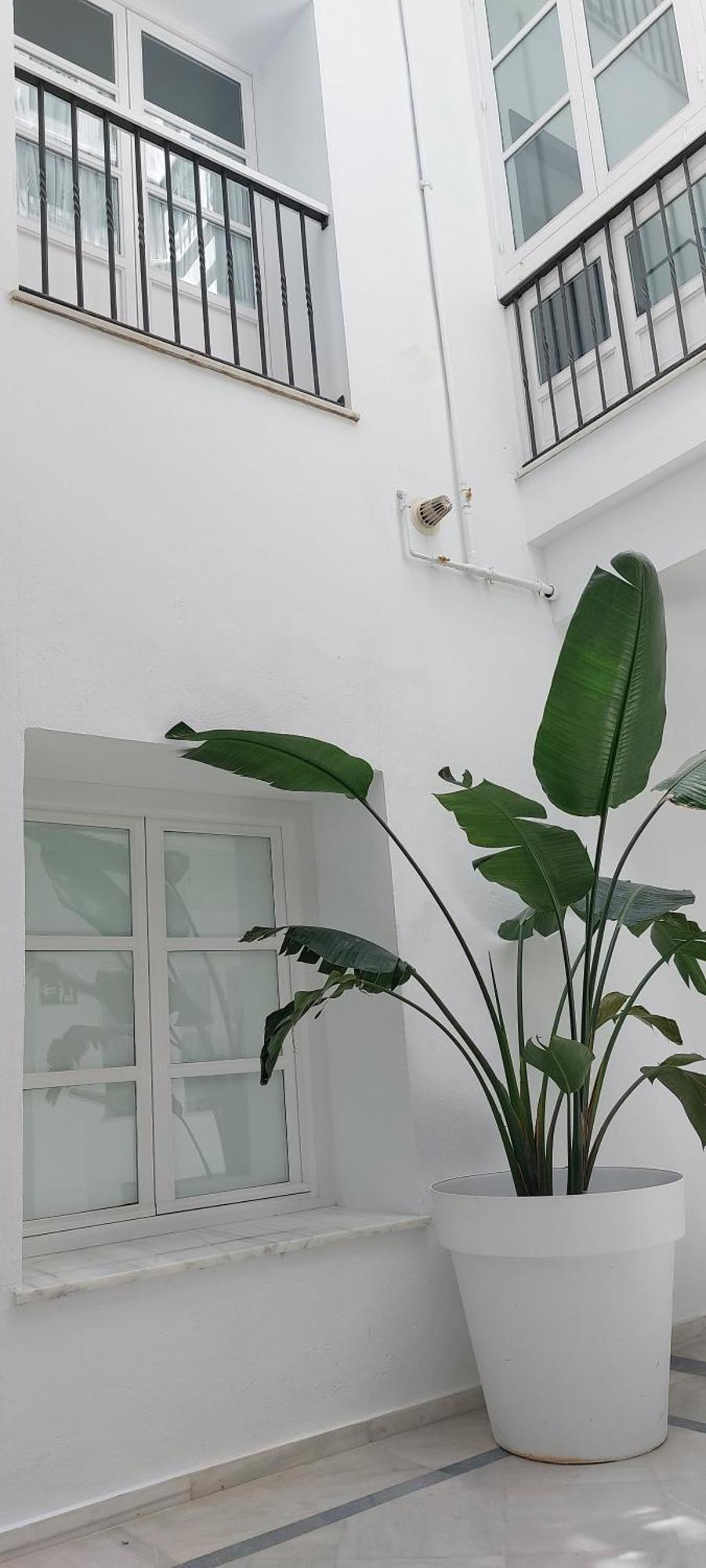 El 2 De Flamenco Bajob Apartman Cádiz Kültér fotó